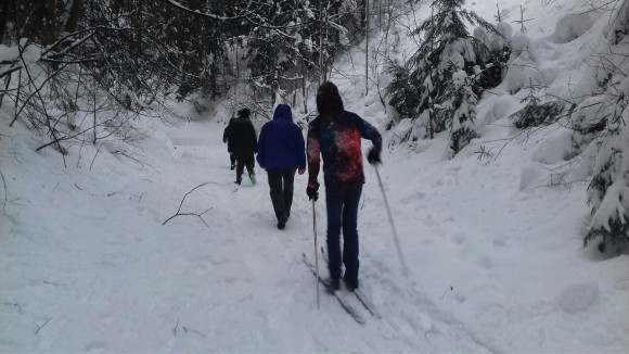 �������� �� ������������ ���������